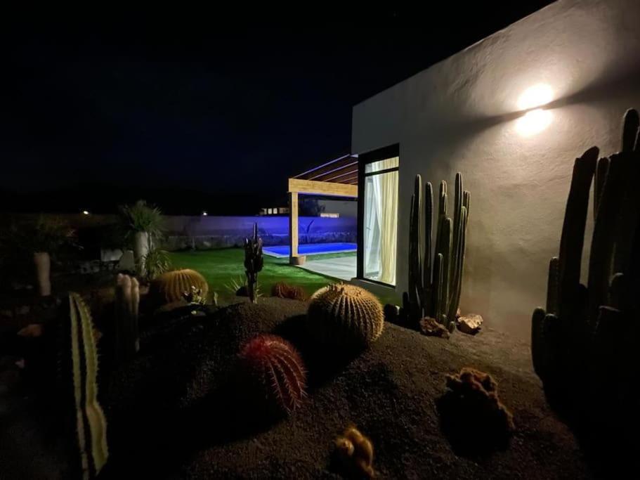 Bungalow + Piscina Independiente La Oliva Buitenkant foto